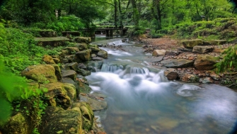 讓天更藍，水更清——浙江扎實(shí)做好中央生態(tài)環(huán)保督察整改綜述